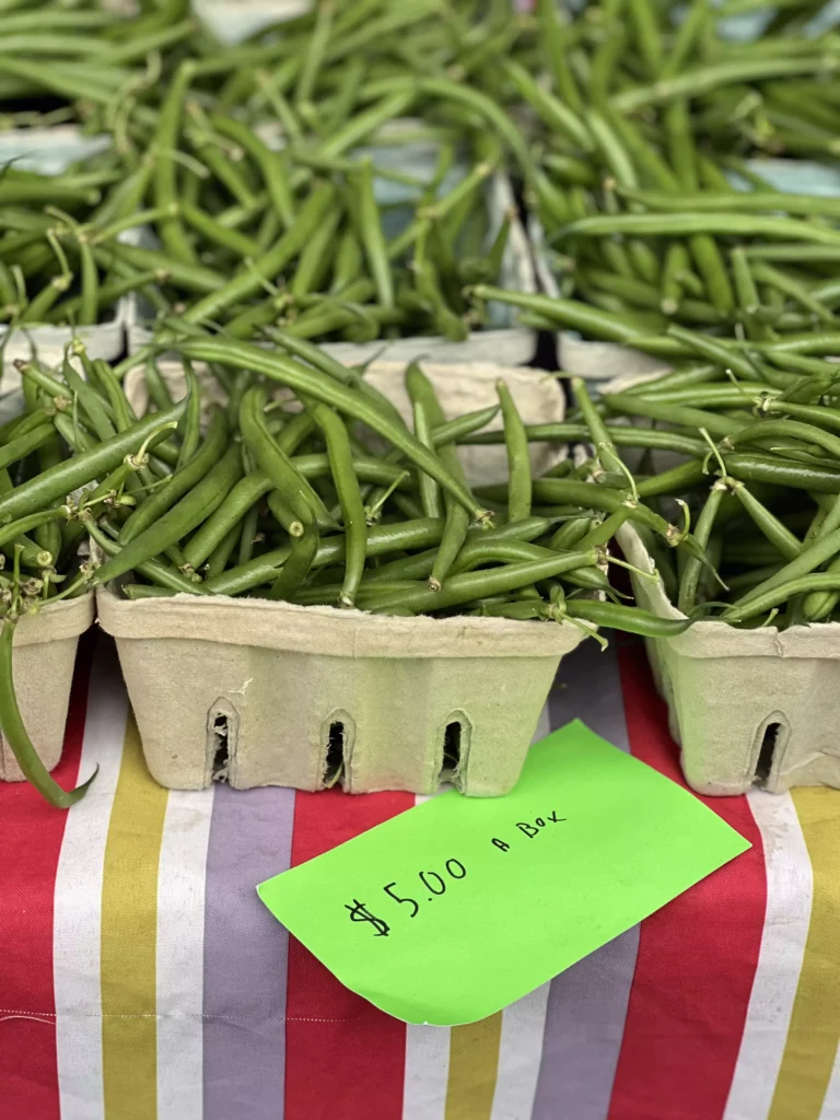 Green beans for sale, $5 a box at market.