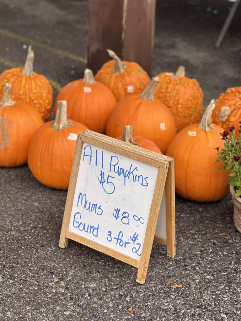 Pumpkins for sale with price sign at market.