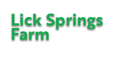 Lick Springs Farm logo in green text.