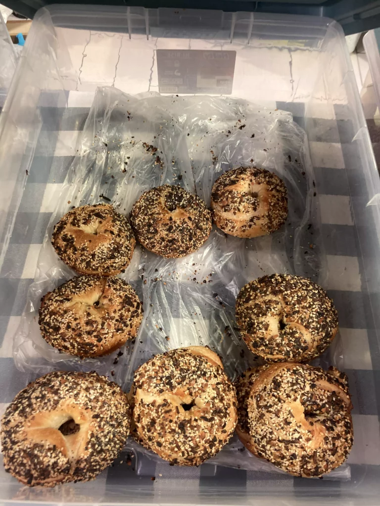 Fresh everything bagels in a plastic container.